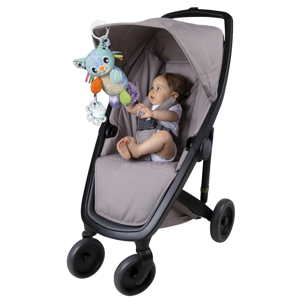 Aktivitets Kat med Ophæng