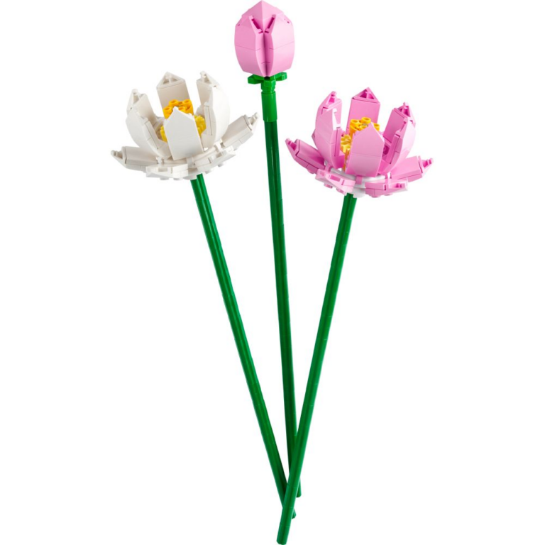 Lotusblomster