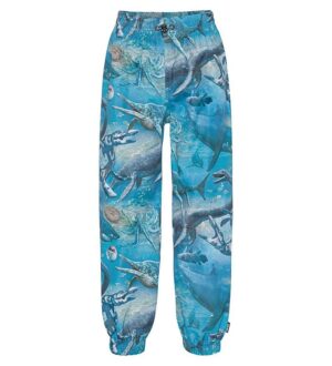 Molo Regnbukser - Waits - Big Ancient Sea