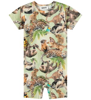 Molo Sommerdragt - Finn - Jungle Cubs