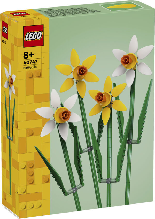 Påskeliljer 40747